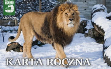 Rodzinny wypoczynek w sercu Lasu Wolskiego